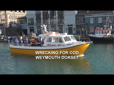 Wrecking for Cod out of Weymouth Dorset on board charter boat Flamer IV