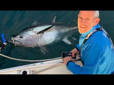 Bluefin Tuna fishing 2023