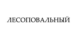 Поэт без усов - Владимир Владимирович Лесоповальный (Live)