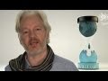 WikiLeaks' Julian Assange Calls on Computer Hackers to Unite Against NSA Surveillance