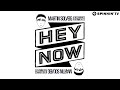 Martin Solveig & The Cataracs feat. Kyle - Hey Now (Radio Edit)