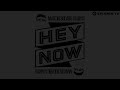 Martin Solveig & The Cataracs feat. Kyle - Hey Now (Radio Edit)