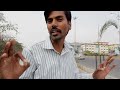 Software Lingaraju - A Telugu Short Film by Vijay Kumar Kyatham