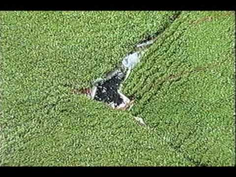 Synthetic Grass: A Price Effective Alternative