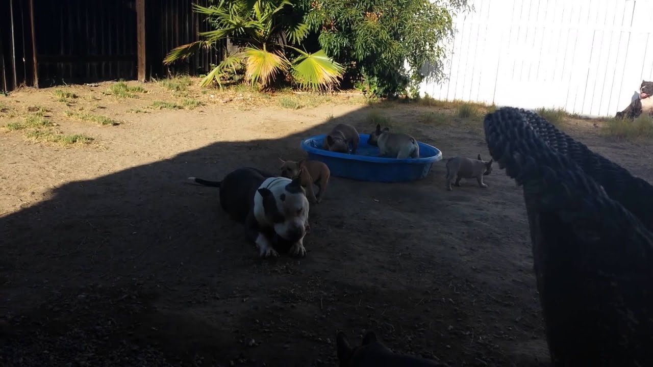 riversidecountybullies... riversidecountybullies...