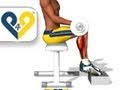 Exercices Musculation mollets assis avec barre