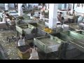 Physical Demands Analysis:Sample Paper making video