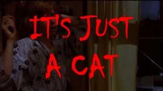 Supercut: It's just a cat