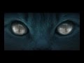 THE CAT (2011)