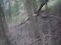 bigfoot evidence 7