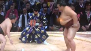 稀勢の里、白鵬撃破