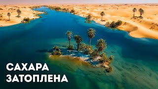 Наиболее загадочные открытия в пустыне, к которым мир не был готов