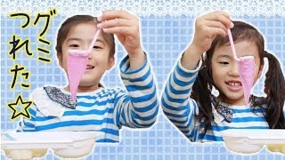 Kracie グミつれた Gummy candy making kit