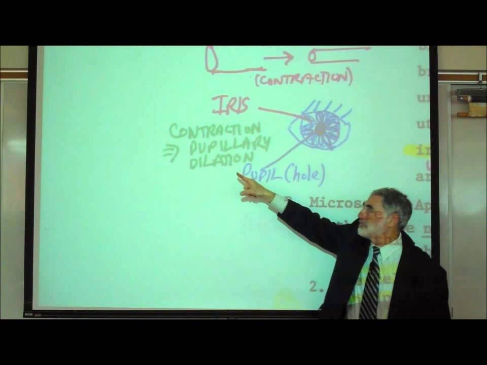 ANATOMY; VISCERAL SMOOTH MUSCLE & CARDIAC MUSCLE HISTOLOGY by Professor