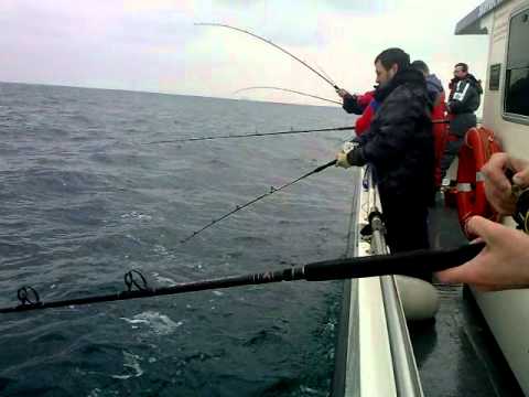 Jolly Fisherman Cod Fishing off Dover