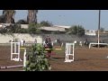 Clementine Beaufils, Lorca, N2, 17 fev 2013 CSO l'ASFA, Dakar, Senegal
