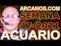 Video Horscopo Semanal ACUARIO  del 14 al 20 Noviembre 2021 (Semana 2021-47) (Lectura del Tarot)