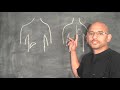 Personal Injury Doctor Atlanta - How the Gallbladder Causes Back Pain