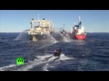 Sea Shepherd Sandwich: Anti-whaling activists rammed by Japanese ships