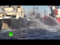 Sea Shepherd Sandwich: Anti-whaling activists rammed by Japanese ships