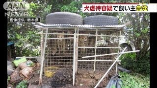 飼い犬8匹閉じ込め、排泄物処理せず・・・虐待で告発（13/08/07）