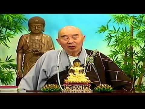 Kinh Vô Lượng Thọ (Giảng Lần Thứ 10, 1998) (Tập 183 Và 184)