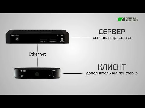 Ресивер (сервер-клиент) GS 501-591 :