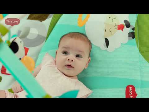 video Tiny Princess Tales Gymini Deluxe Baby Gym