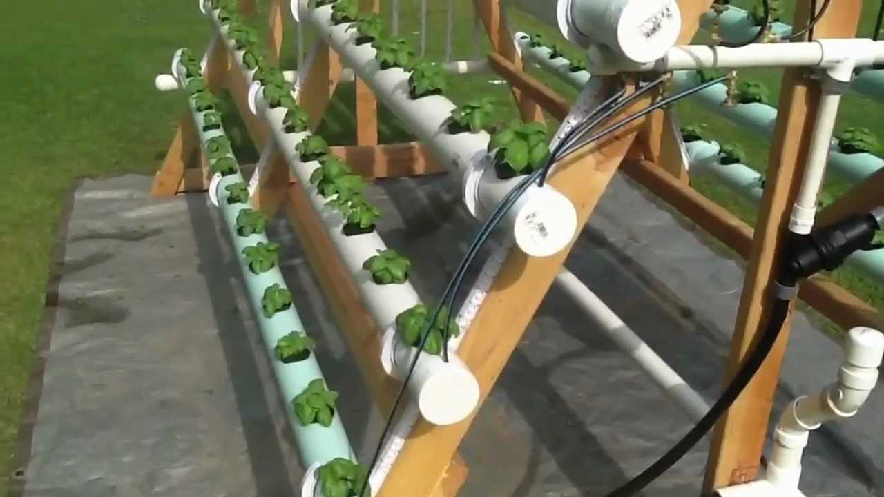 Homemade vertical (A-Frame) hydroponic system Facebook ...