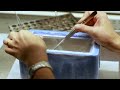 Videos de fecundación in vitro - IVI, España, UE, 2013