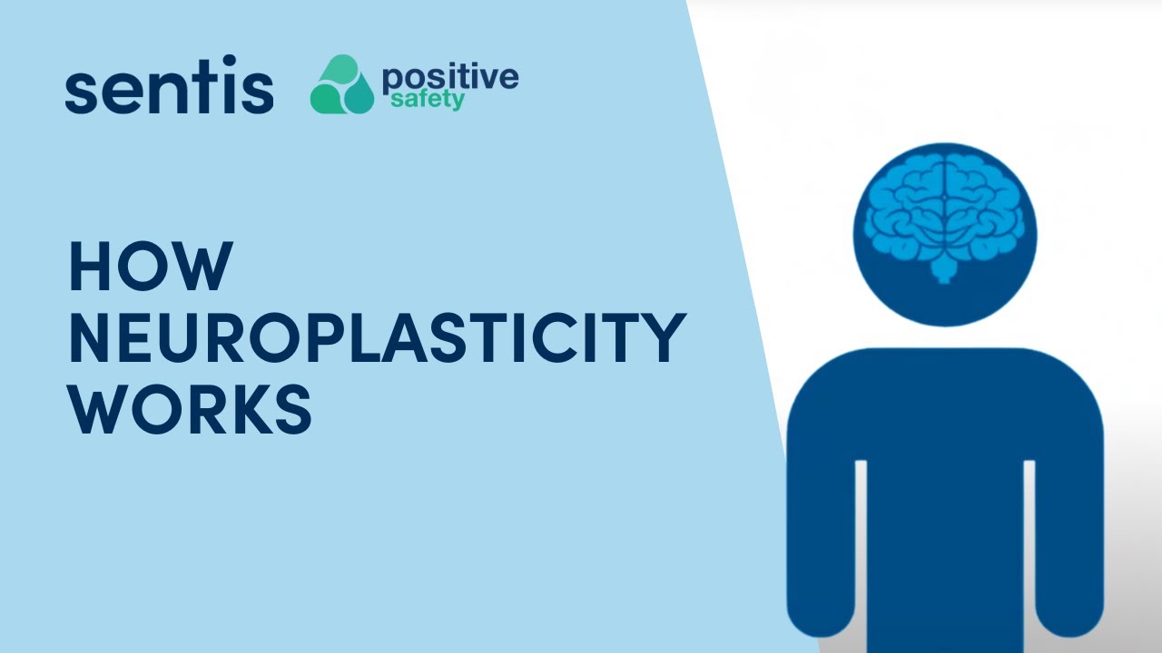 Neuroplasticity - YouTube