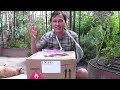 Thumbnail 1 for FREE $2500+ Heirloom Vegetable Seed Giveaway Thumbnail 1 for FREE $2500+ Heirloom Vegetable Seed Giveaway