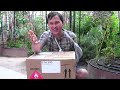 Thumbnail 2 for FREE $2500+ Heirloom Vegetable Seed Giveaway Thumbnail 2 for FREE $2500+ Heirloom Vegetable Seed Giveaway