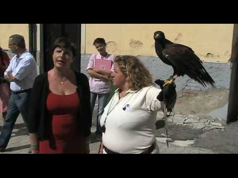 Alcolizzati codependence trattamento