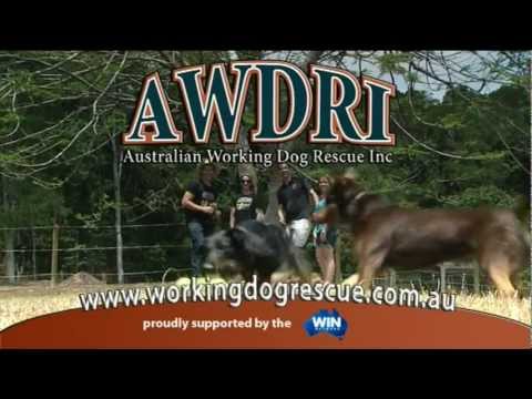 AWDRI 30 second commercial