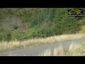 Roger Albert Clark Rally 2013 - Pure Sound [HD]