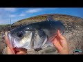 Bass fishing with Lures - The Totally Awesome Fishing Show