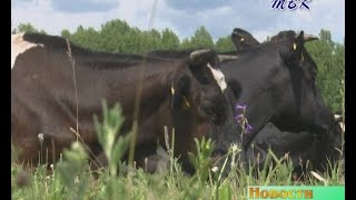 Министр сельского хозяйства Василий Пронькин посетил АО «Полевод» Искитимского района