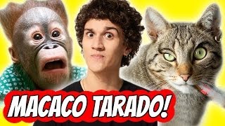 DEU A LOUCA NOS MACACOS!