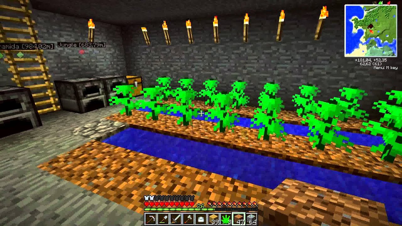 Minecraft | ~WEED MOD~ 5 | PĚSTUJEME :D | HD - YouTube