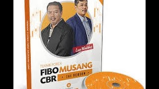 Teknik forex fibo musang