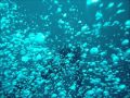 Ship Wreck Diving In Croatia - Diving Club PINE DIVER_part 1