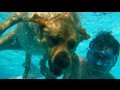 Dog Swimming Underwater! (6.11.09 - Day 42)
