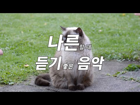 Funny Music|Happy Music|My Older Brother Is A Street Singer (Remake)|재밌는 음악|밝은 음악|오빠는 풍각쟁이야 (리메이크)