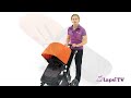 Коляска 2 в 1 Bugaboo Cameleon 3 (Бугабу Камелеон 3)