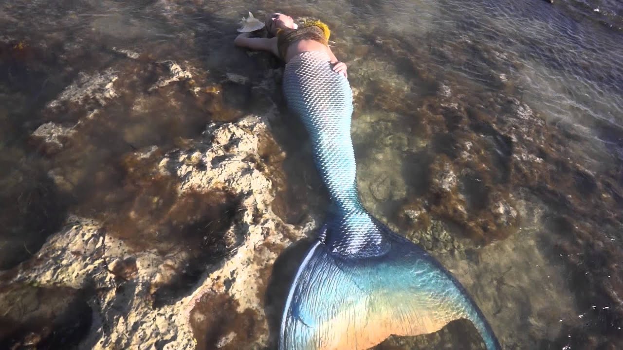 Real life mermaid found on the shores of the keys TRINA THE MERMAID