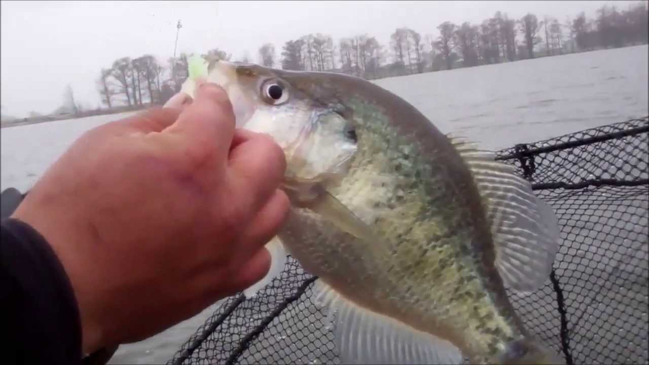 Crappie Fishing Reelfoot Lake YouTube Crappie Fishing Reelfoot Lake YouTube