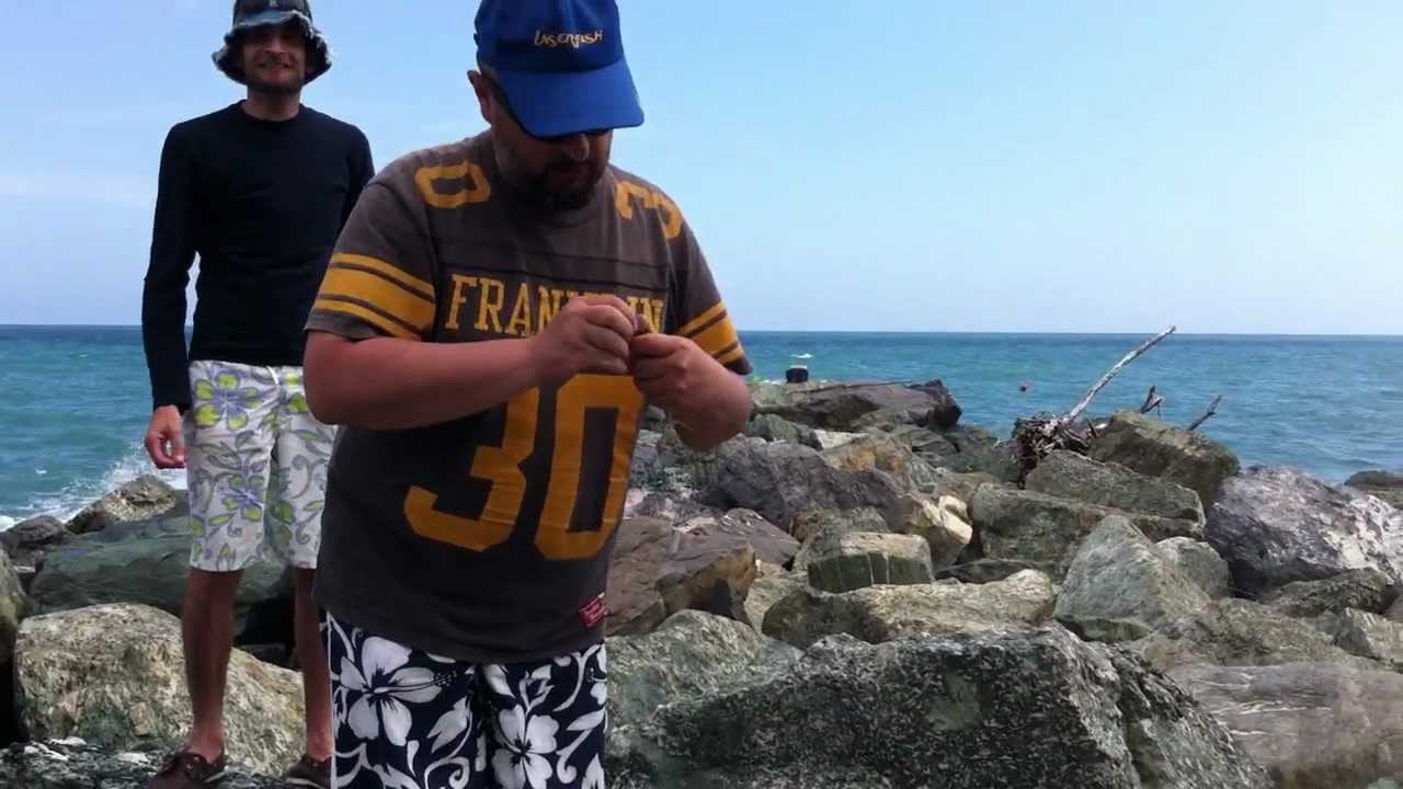 Tutorial: big fish ledgering! o surfcasting!! Arenzano. Best italian ...