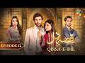 Qissa-e-Dil - Episode 12 - 16th August 2024 - [ Azfar Rehman & Hina Afridi ] - HUM TV