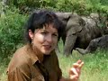 Animal Weapons: Episode 3 - Armed to the Teeth